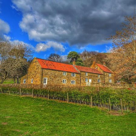 Bed and Breakfast Park House Ingleby Arncliffe Exteriér fotografie