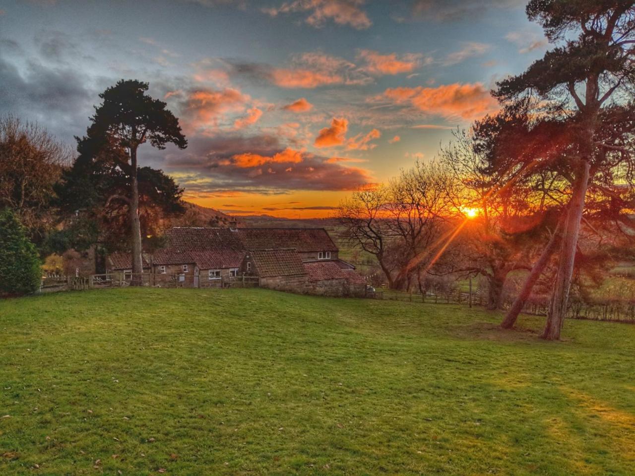 Bed and Breakfast Park House Ingleby Arncliffe Exteriér fotografie