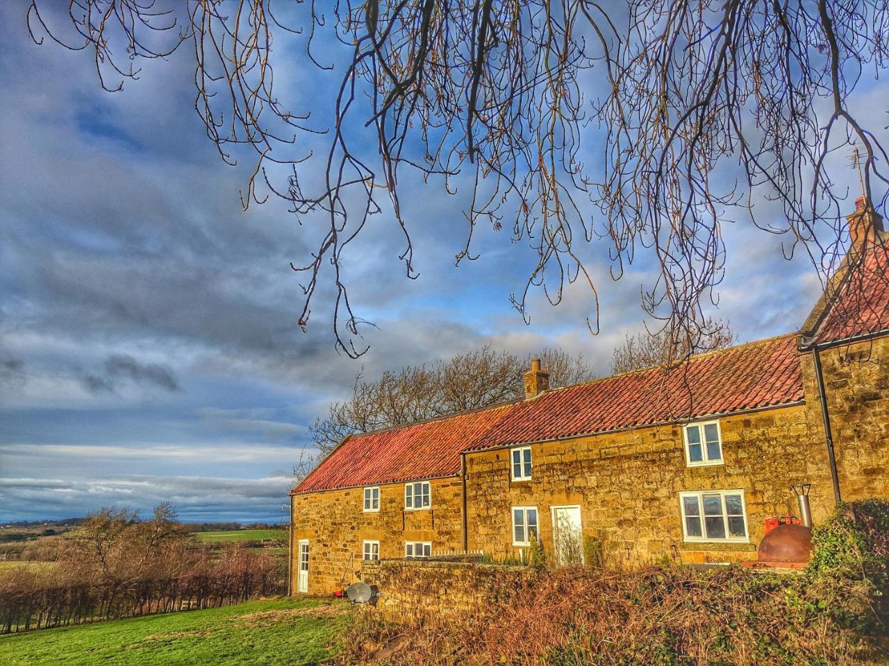 Bed and Breakfast Park House Ingleby Arncliffe Exteriér fotografie