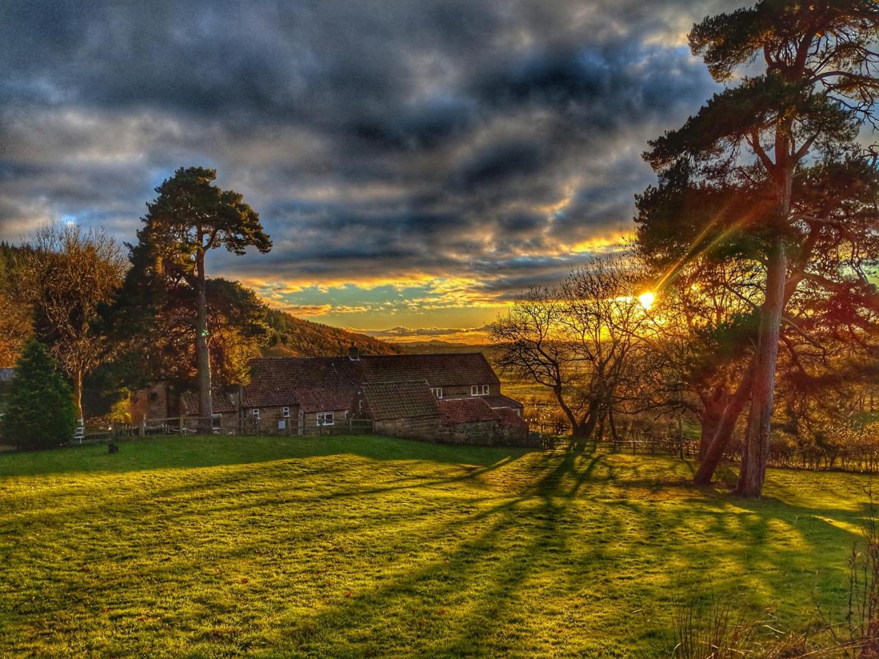 Bed and Breakfast Park House Ingleby Arncliffe Exteriér fotografie
