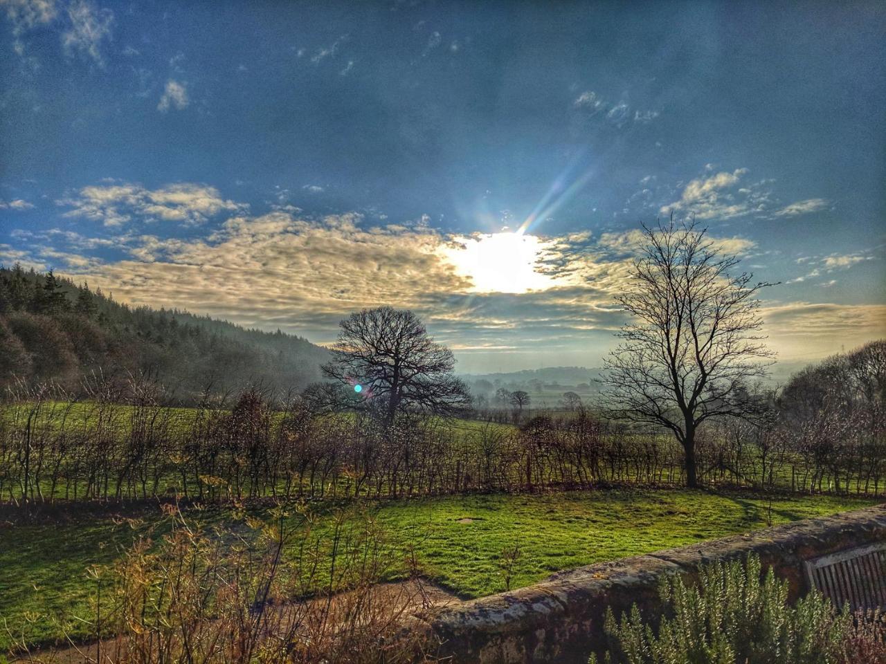 Bed and Breakfast Park House Ingleby Arncliffe Exteriér fotografie