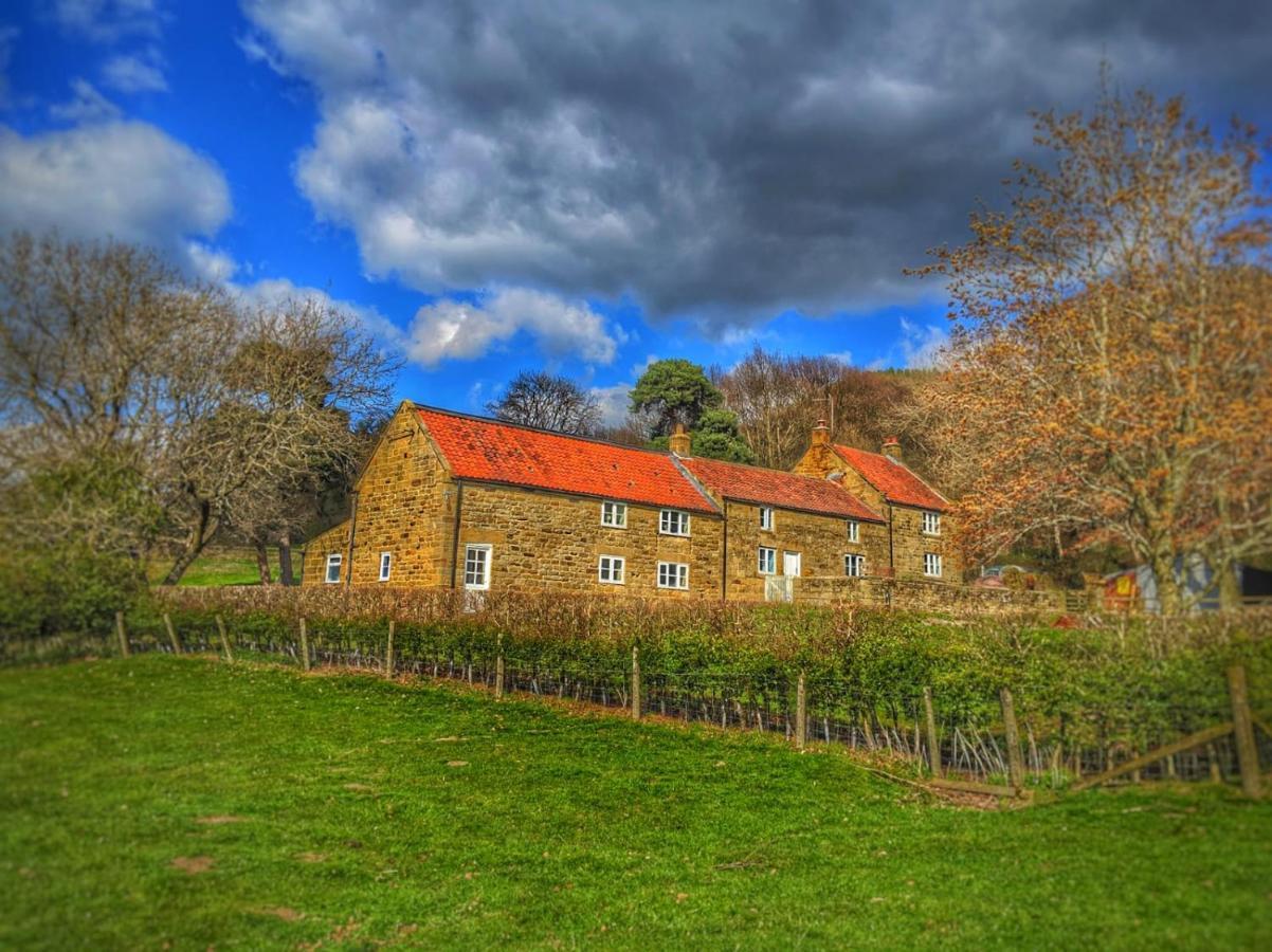 Bed and Breakfast Park House Ingleby Arncliffe Exteriér fotografie